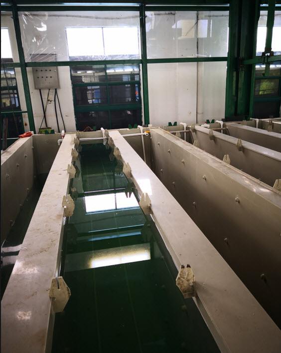 不锈钢酸洗钝化生产线