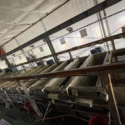 不锈钢钝化生产线